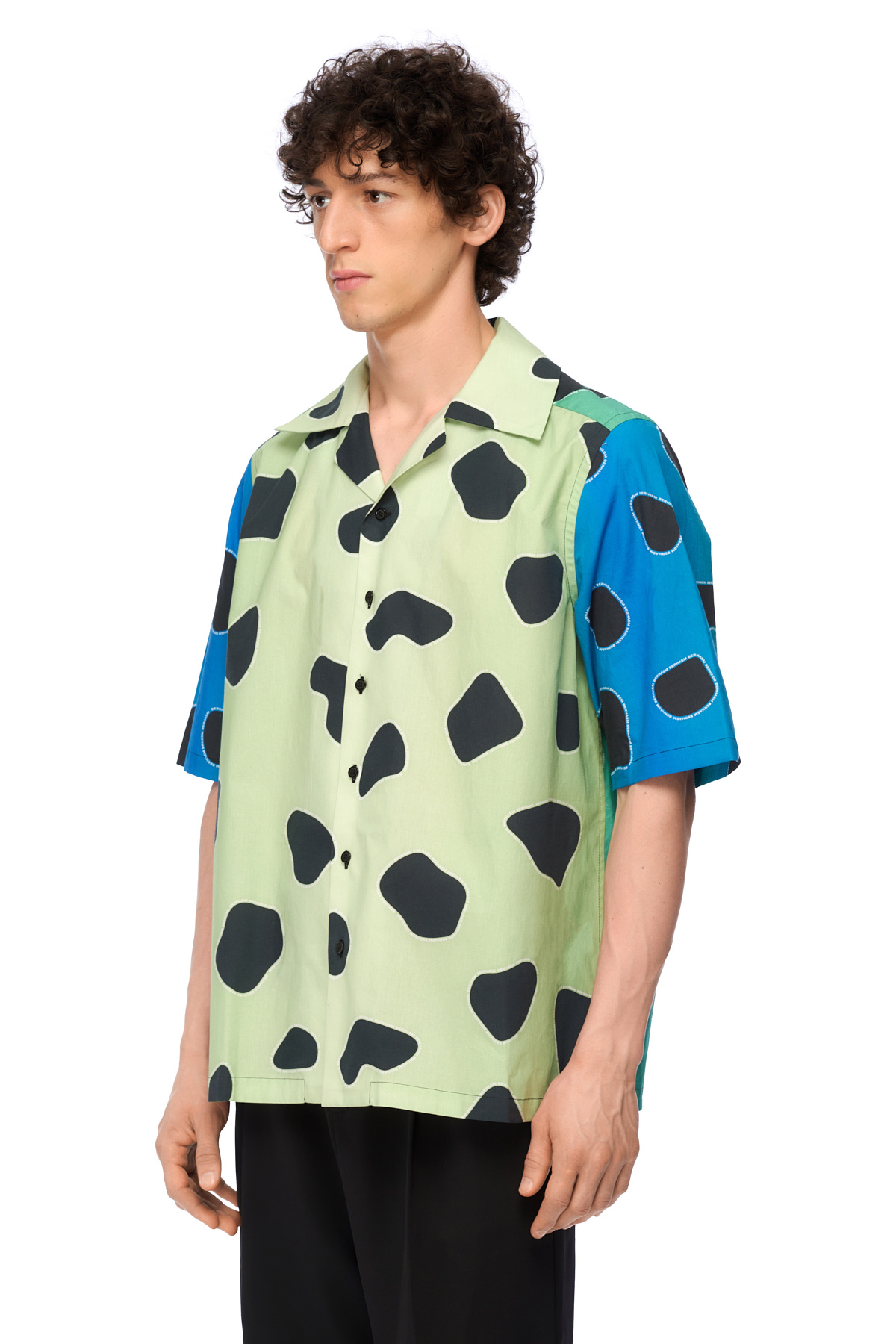 Leopard print shirt